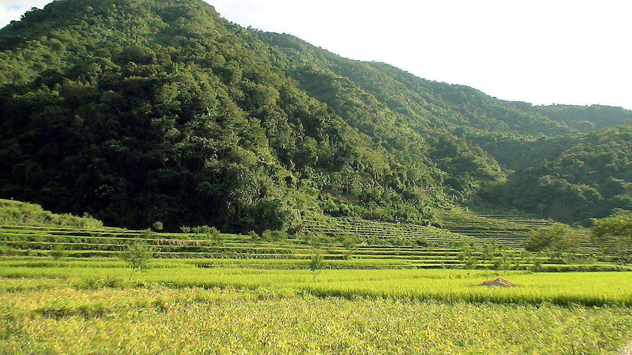 Agricultural Ecosystem